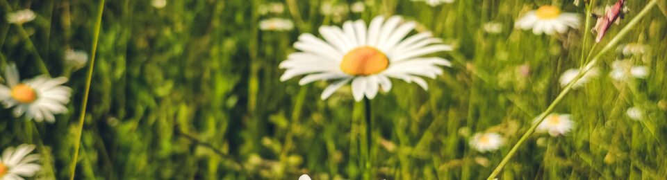 Erschöpft vom Funktionieren: Warum wahre Veränderung mit Innehalten beginnt